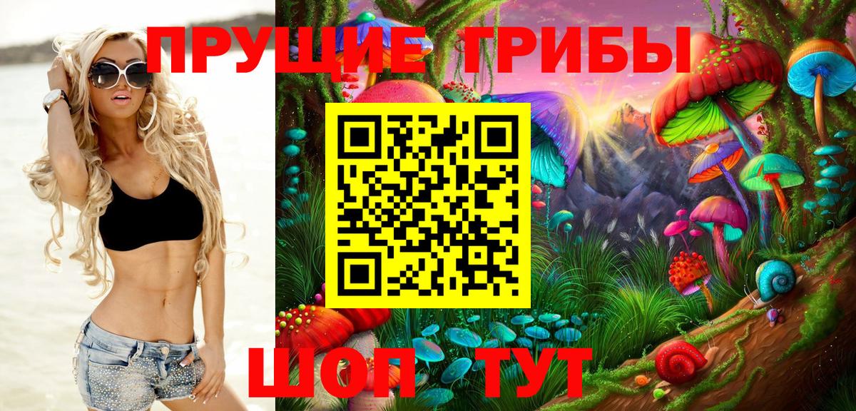 Псилоцибиновые грибы Psilocybe Гусиноозёрск