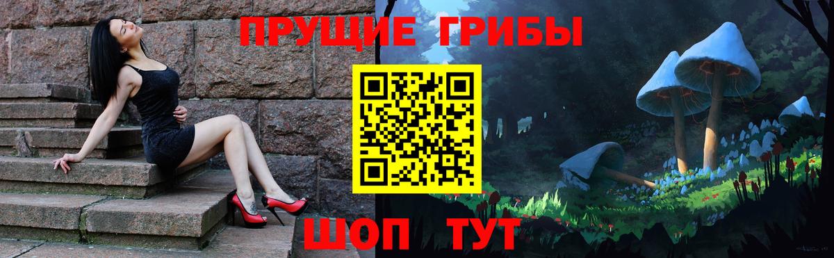 Гусиноозёрск  Псилоцибиновые грибы прущие грибы  Вход с VPN  Галлюциногенные грибы прущие грибы 