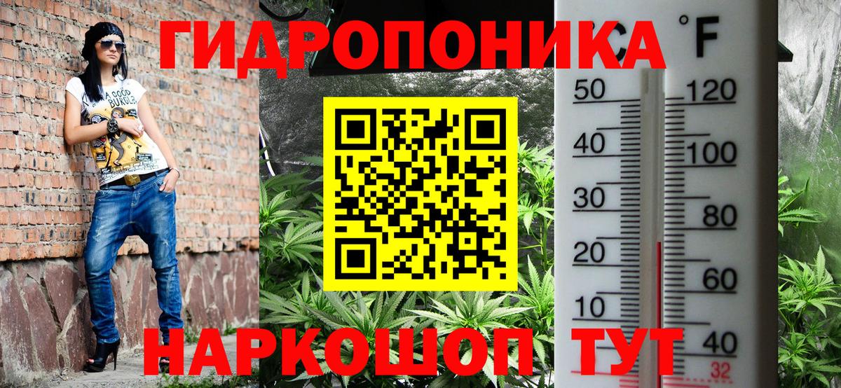 Канабис VHQ  Каннабис семена  Конопля Bruce Banner  Вход с VPN  Гусиноозёрск 